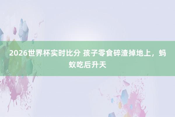 2026世界杯实时比分 孩子零食碎渣掉地上，蚂蚁吃后升天