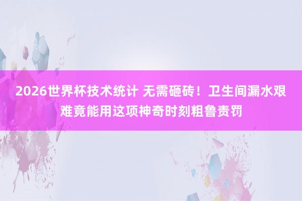 2026世界杯技术统计 无需砸砖!卫生间漏水艰难竟能用这项神奇时刻粗鲁责罚
