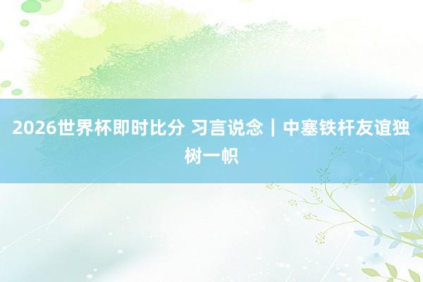 2026世界杯即时比分 习言说念｜中塞铁杆友谊独树一帜