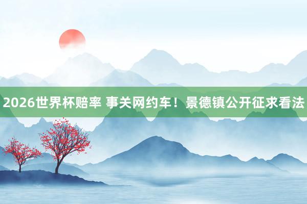 2026世界杯赔率 事关网约车!景德镇公开征求看法