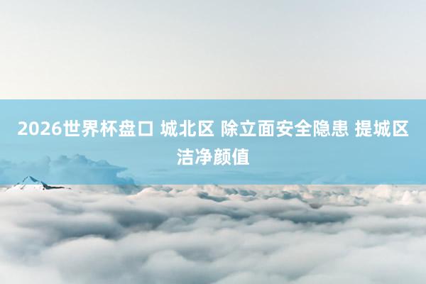 2026世界杯盘口 城北区 除立面安全隐患 提城区洁净颜值