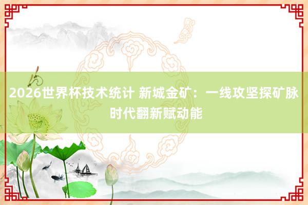 2026世界杯技术统计 新城金矿:一线攻坚探矿脉 时代翻新赋动能
