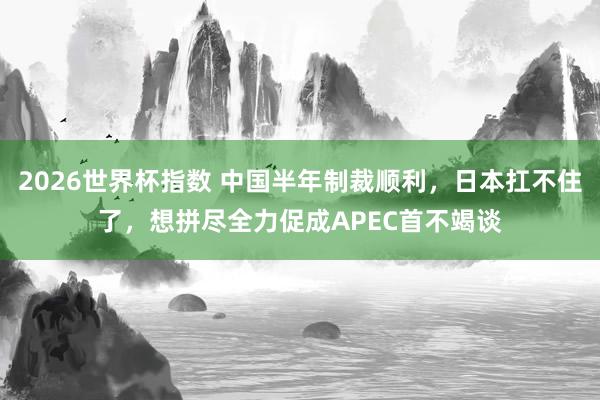 2026世界杯指数 中国半年制裁顺利,日本扛不住了,想拼尽全力促成APEC首不竭谈