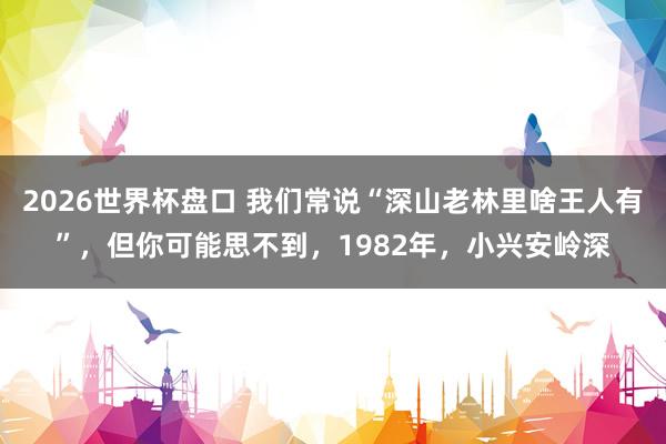 2026世界杯盘口 我们常说“深山老林里啥王人有”,但你可能思不到,1982年,小兴安岭深