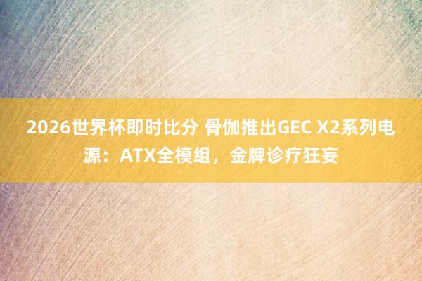2026世界杯即时比分 骨伽推出GEC X2系列电源:ATX全模组,金牌诊疗狂妄