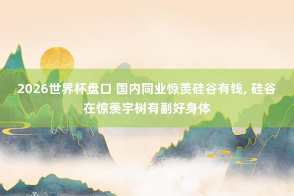 2026世界杯盘口 国内同业惊羡硅谷有钱, 硅谷在惊羡宇树有副好身体