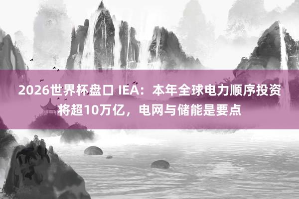 2026世界杯盘口 IEA:本年全球电力顺序投资将超10万亿,电网与储能是要点