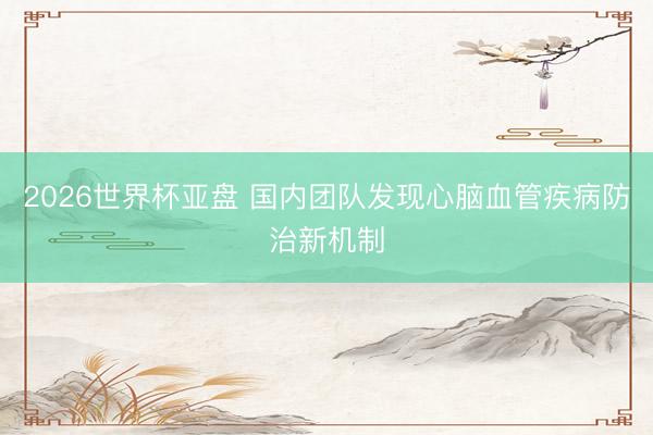 2026世界杯亚盘 国内团队发现心脑血管疾病防治新机制