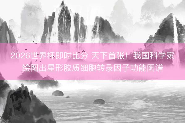 2026世界杯即时比分 天下首张!我国科学家绘图出星形胶质细胞转录因子功能图谱