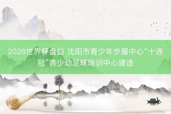 2026世界杯盘口 沈阳市青少年步履中心“十连冠”青少幼足球培训中心建造