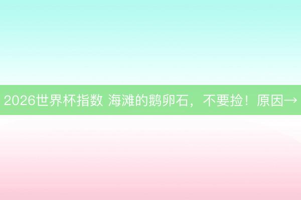 2026世界杯指数 海滩的鹅卵石,不要捡!原因→