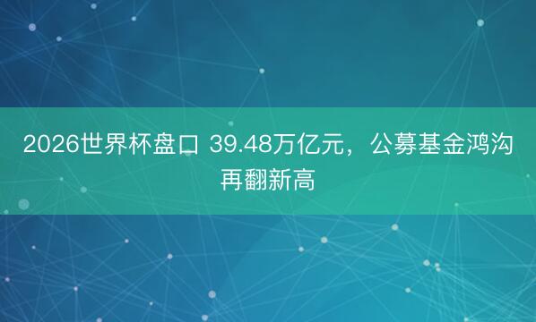 2026世界杯盘口 39.48万亿元，公募基金鸿沟再翻新高